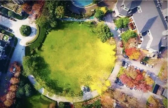 杭州绿城育华幼儿园电话,杭州绿城育华澎致幼儿园招生