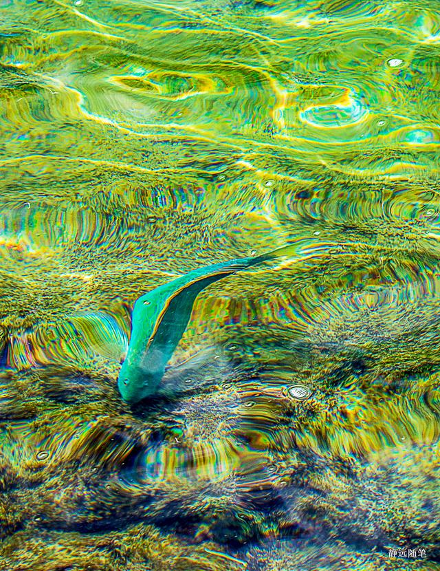 加勒比海邮轮旅行香港,加勒比海游轮旅行视频大全