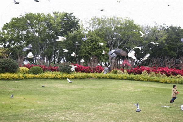 去厦门吹海风,来去厦门观光享受清凉的海风