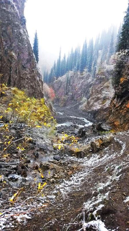 带上UL从狼塔C回家