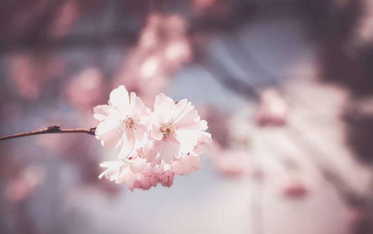 一个自以为是的女人是多么悲哀,女人最大的悲哀就是自以为是