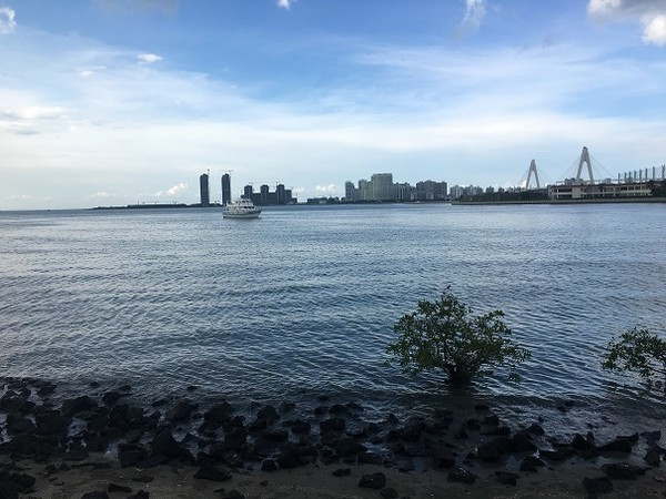 领略海口美丽风光，尝尽海口的各种美食