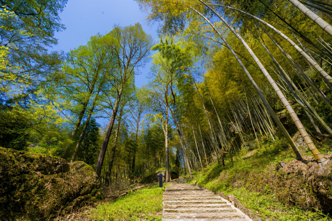 商量岗内的这家酒店，四季气候适宜居住，住客宛若身处桃花源