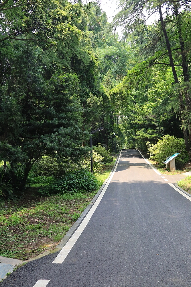 红河谷半音阶口琴独奏,12孔半音阶口琴演奏北国风光