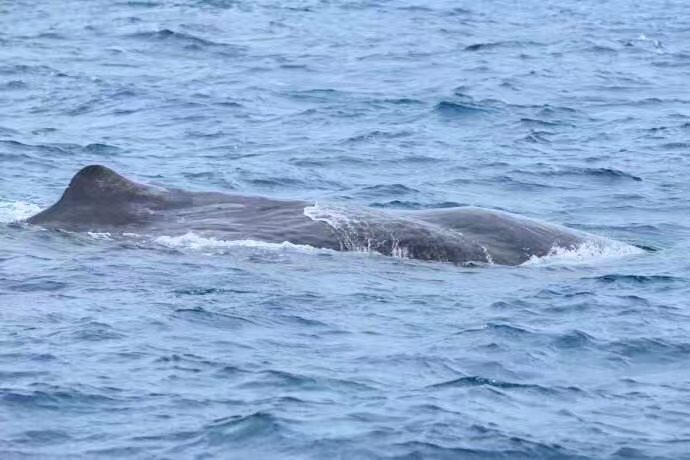 超好用的新西兰自驾攻略（二）——凯库拉
