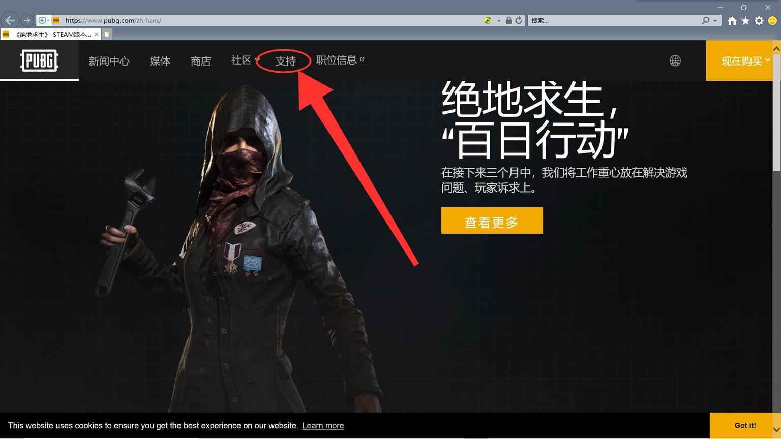 pubg申诉成功为什么还是封禁状态,pubg账号被盗开挂被封怎么申诉