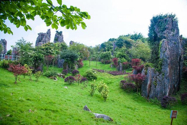 小平故里到华蓥山花海人家要多远,广安华蓥山小平故里