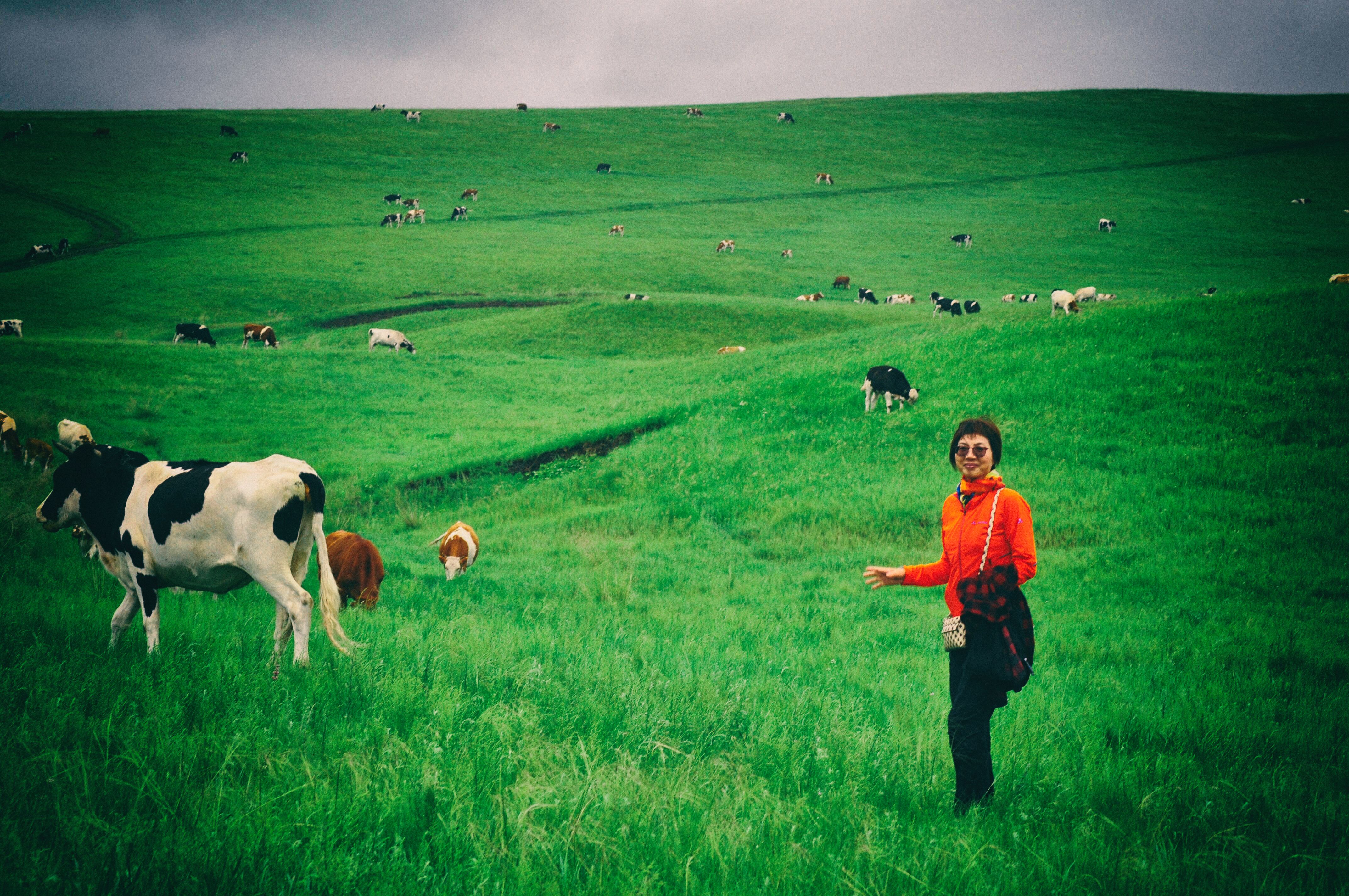 东北游记攻略,东北游记最新视频