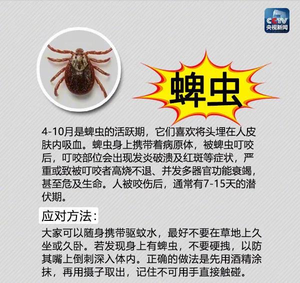 常年在垃圾桶旁边的蛇,垃圾桶里面有一条大蟒蛇