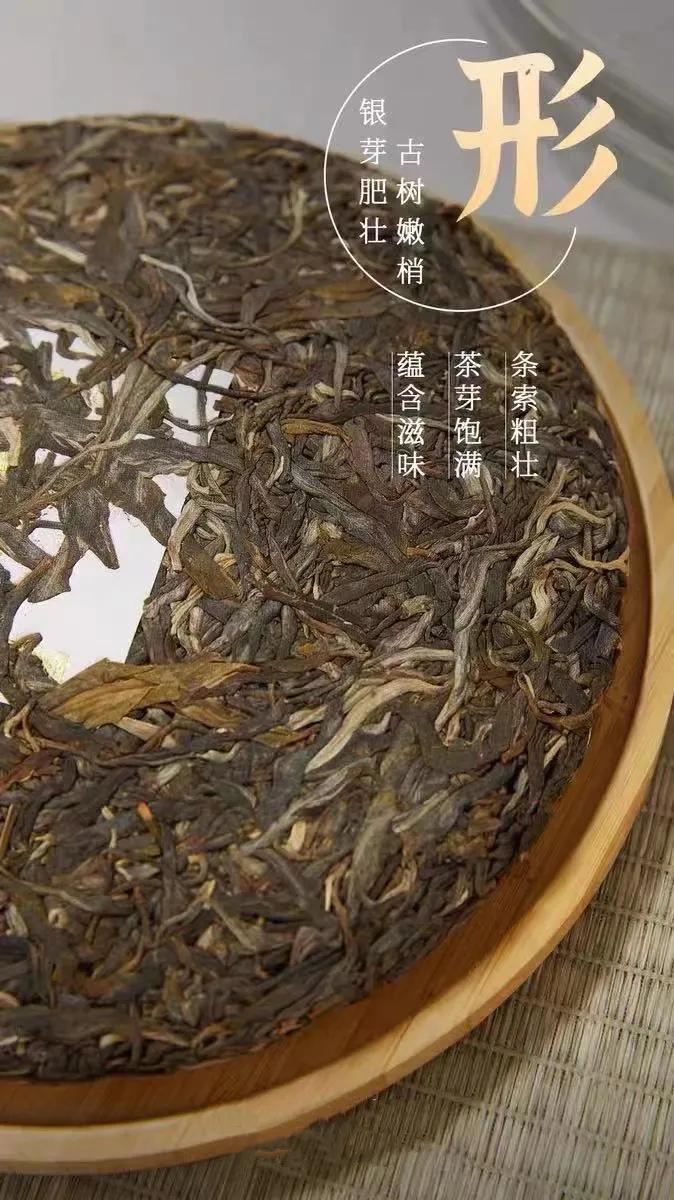 学会这几个技巧轻松玩转普洱,怎样才算好普洱