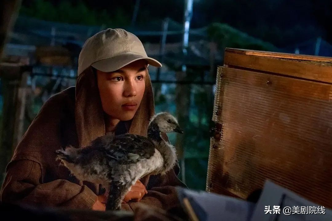 豆瓣8.8分看到最后才明白的电影,豆瓣8分以上电影