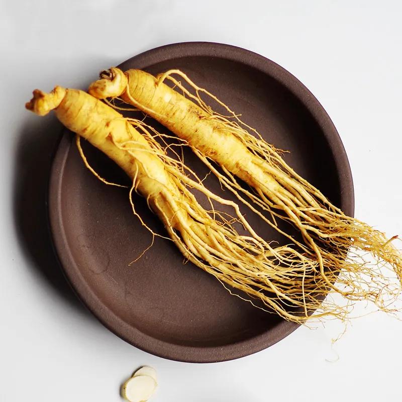 鲜人参几月份上市,新鲜人参上市时间