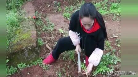 新农合收费遇难题断缴成常态,村干部讲今年医保断缴