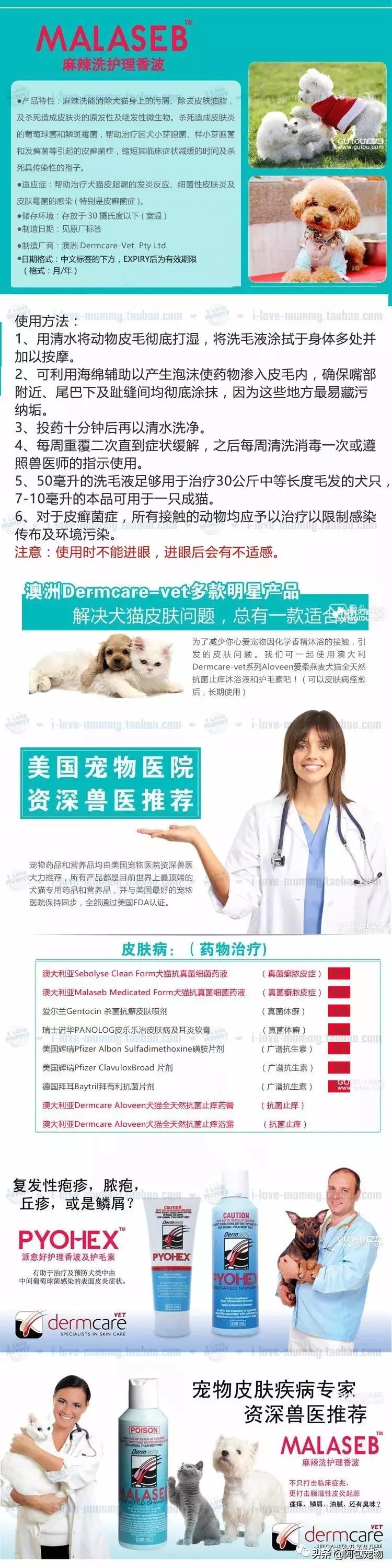 主子生病了怎么办,主子得猫癣了该用什么药