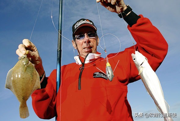 别人家的作业——英国钓鱼证制度