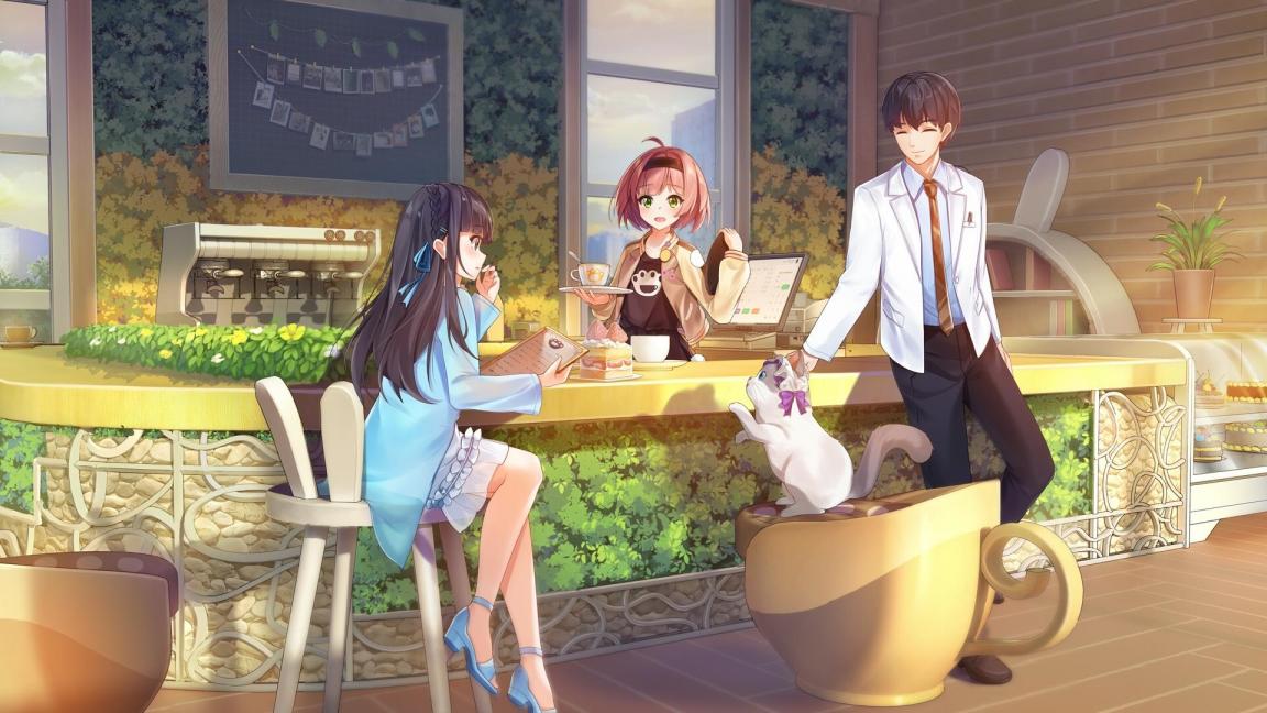 哪些是你养猫之后才知道的事？《喵与筑》云养猫开启温馨之旅