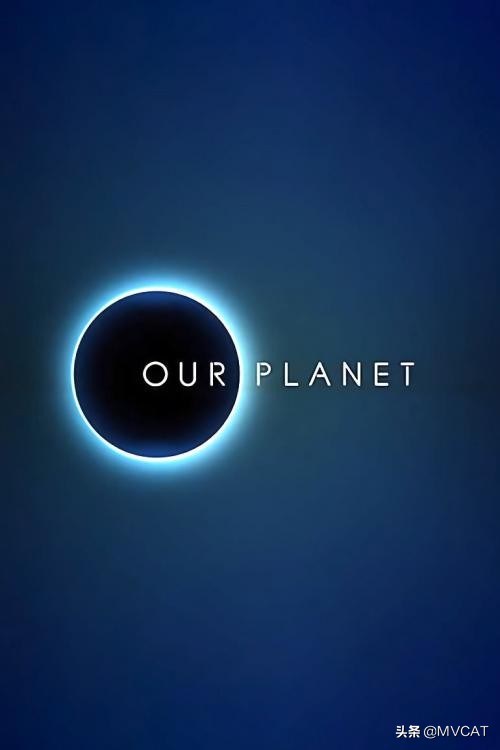 500部自然纪录片,最好看的自然纪录片