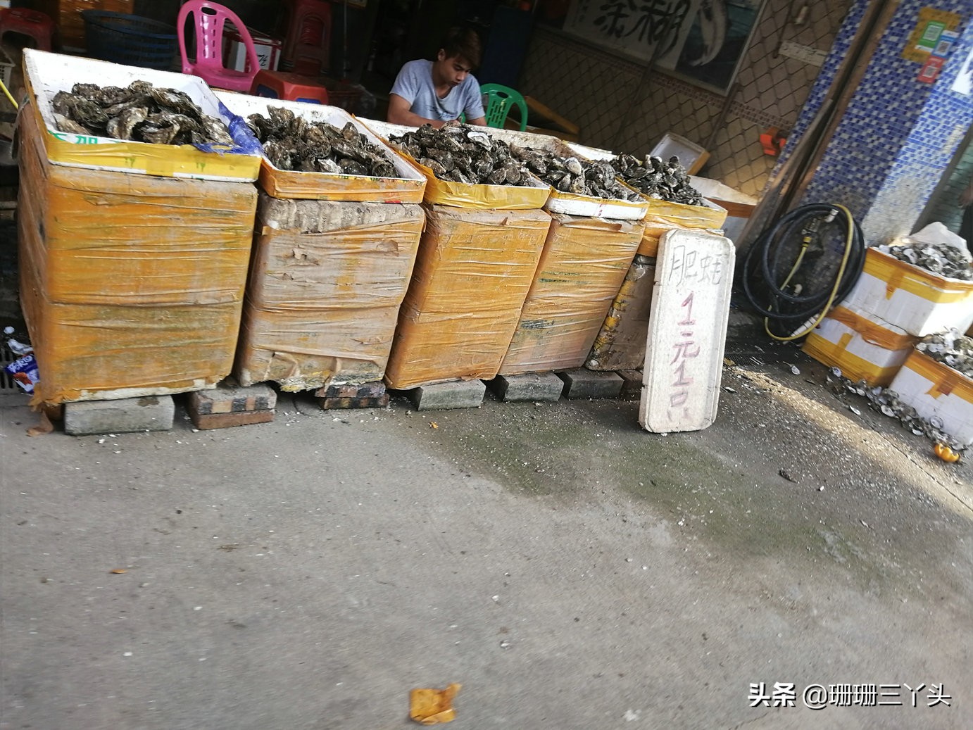 广州南沙生蚝最便宜海鲜市场,广州生蚝批发送货上门