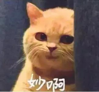 能健身的游戏推荐,健身新游戏