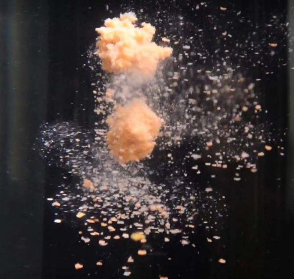 没有钓到鱼用什么饵料,野钓不知道开多少饵料开多了浪费