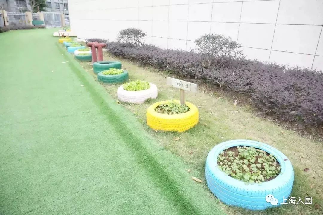 宋庆龄儿童科技馆值得去吗,宋庆龄幼儿园教育理念