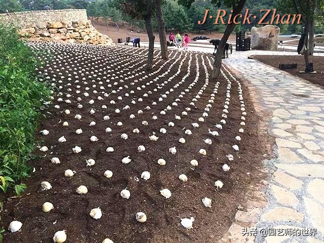 值得参观的国内优秀花园之品鉴（上篇）