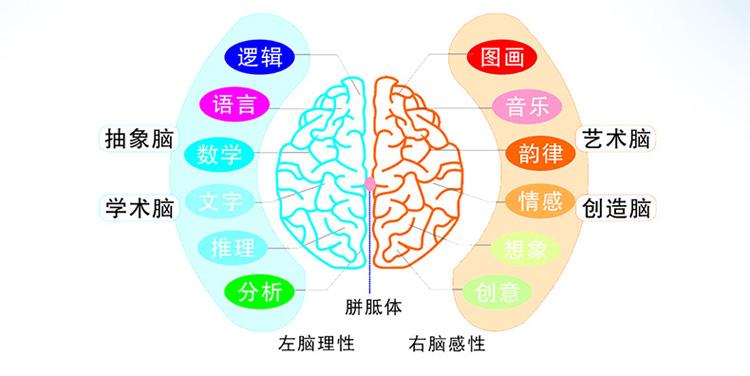国内第一套完整的思维导图教程,思维导图入门怎么学