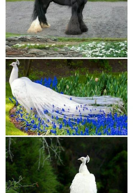 面对强势不讲理的人怎么破局,当碰到不讲理的人该怎么办呢