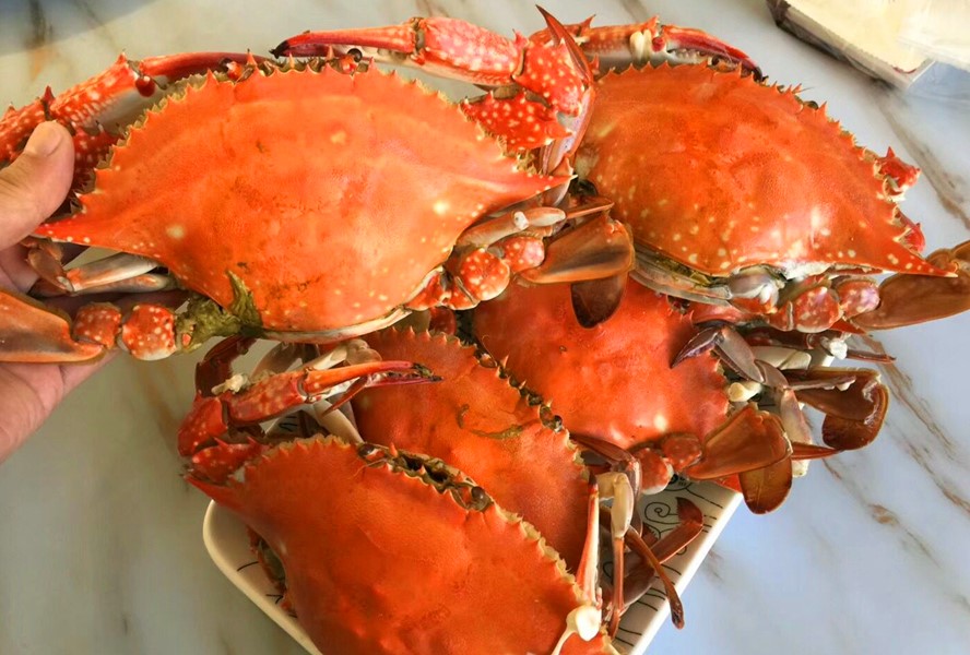 买到这样的梭子蟹千万别吃不新鲜,渔民挑梭子蟹的技巧分享给大家