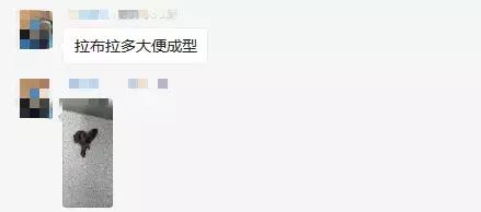 真香预警有哪些,怎样通过宠物粪便判断健康