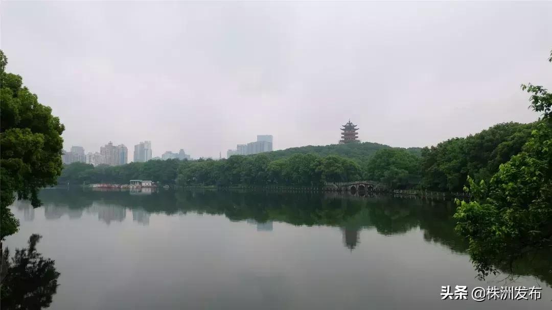 春日大自然美景视频,春日公园游玩美图视频