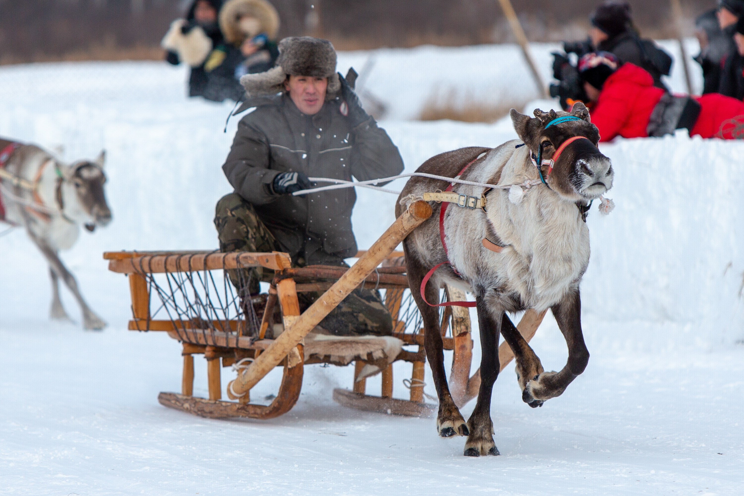 夏季内蒙古自驾游,北京到内蒙古东北自驾游旅行攻略