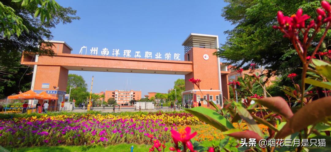 还在为选学校发愁吗,还在为选项目发愁吗