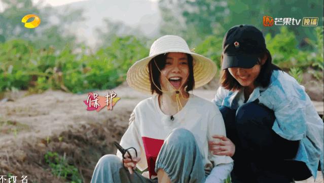 圆脸显老还是显嫩,圆脸显嫩