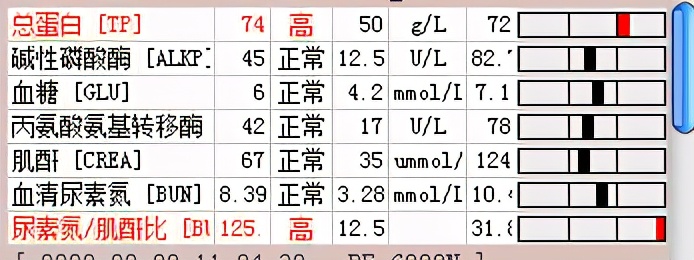 如果狗狗不慎被咬伤，作为家长该怎么办？