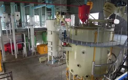 出门在外少吃菜,吃完水煮鱼怎么补救不发胖