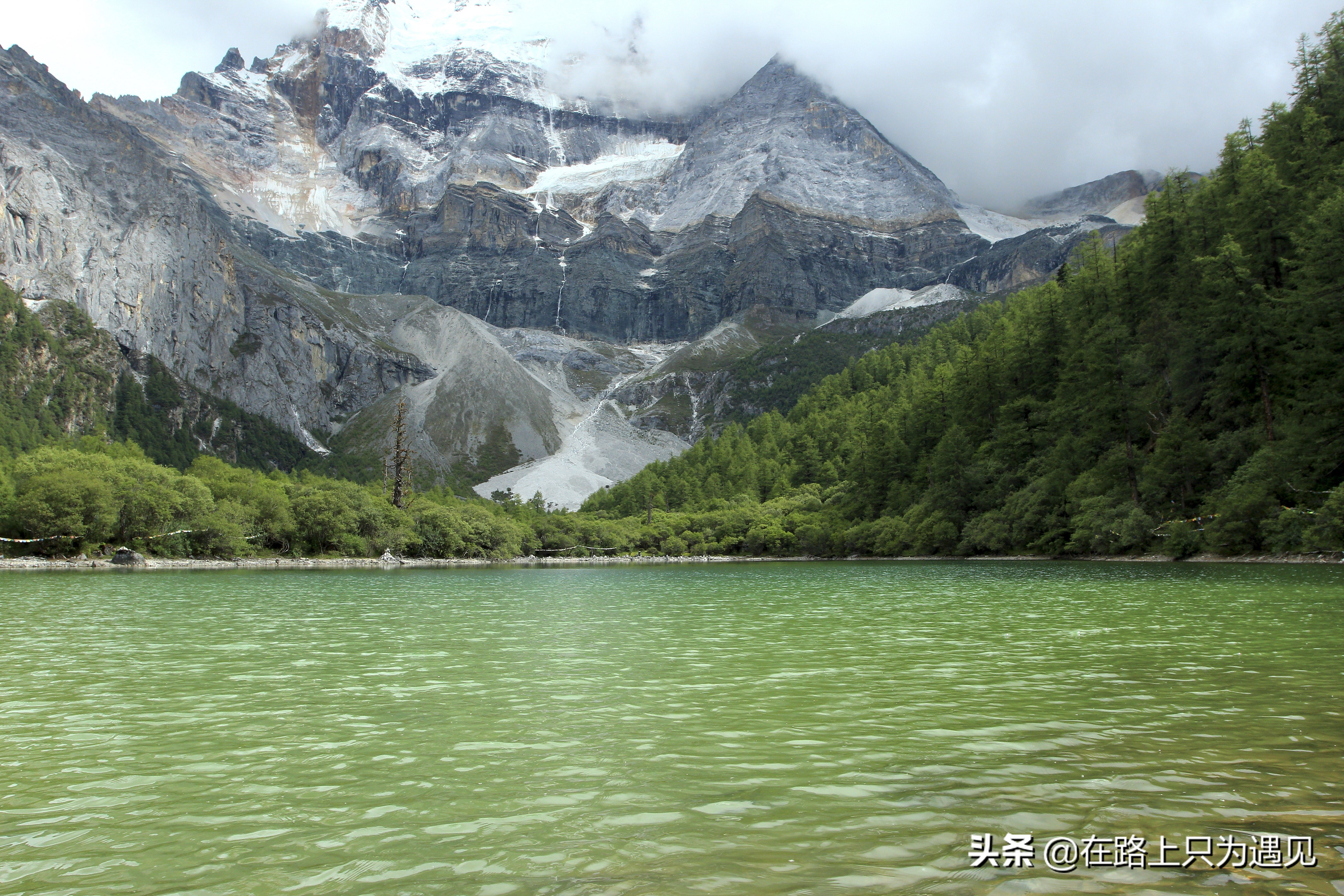 从你的全世界路过稻城亚丁主人公,从你的全世界路过稻城亚丁片段