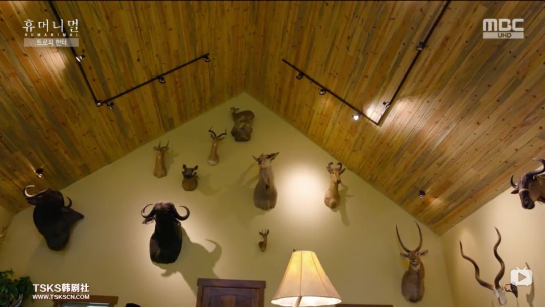 韩国寄生虫深度解析,寄生虫韩国结局