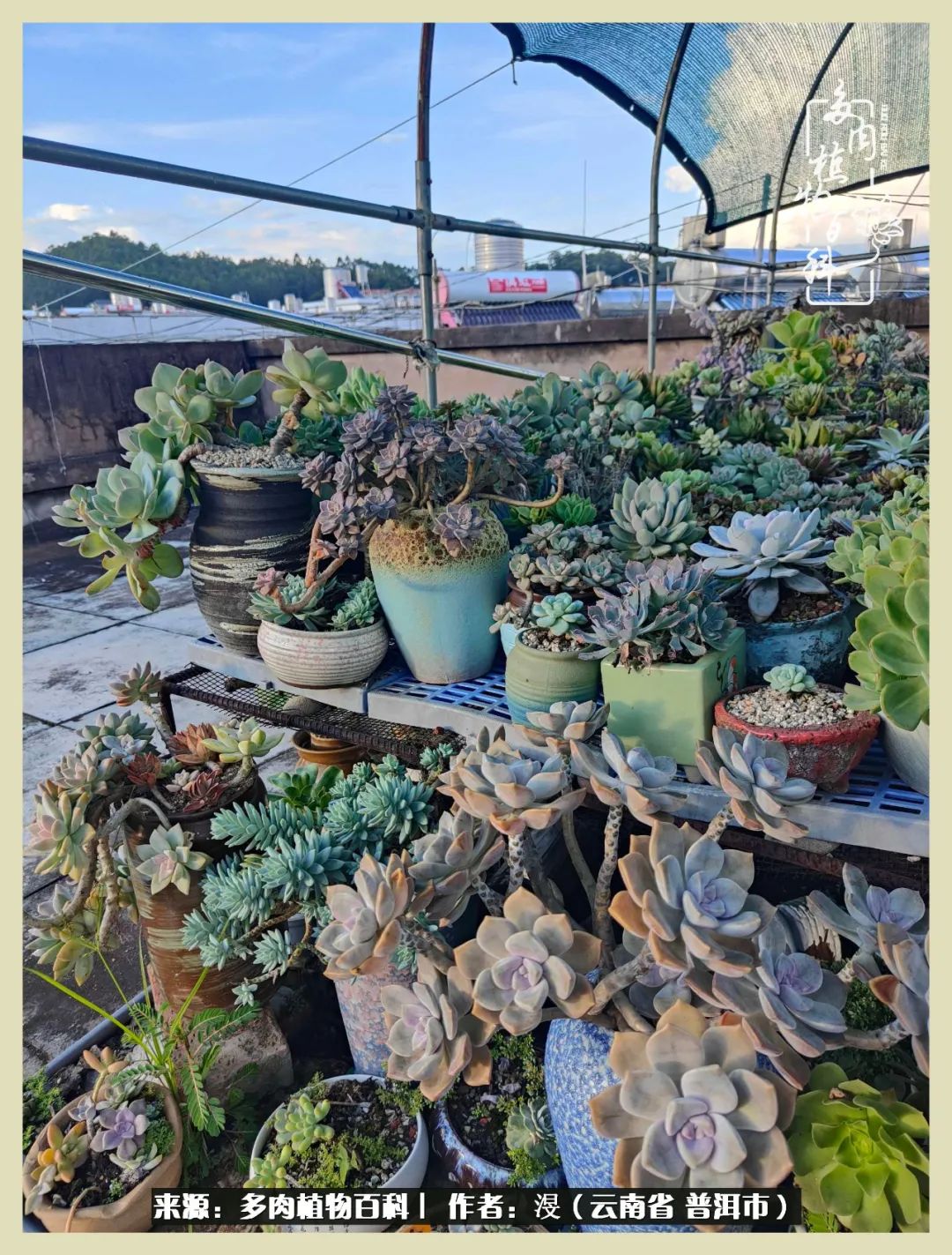 深情不及久伴,厚爱无需多言,择一“爱”,护一生