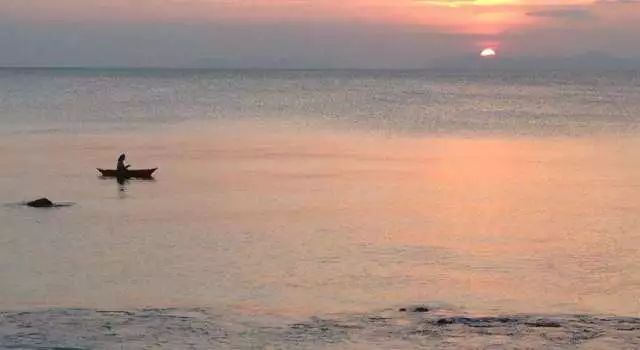 泰国即将要开放的岛,泰国封岛最新消息