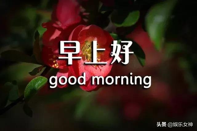 周三问候语简单幽默,早上短信问候语温馨正能量