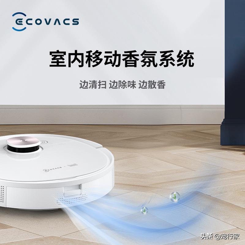 房间养宠物有异味怎么解决,养宠物后屋里有臭味怎么去除