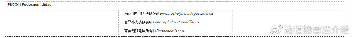 匠志萌宠乐园教学,匠志萌宠