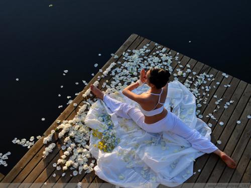 呵芬茶树精油,植物护肤精油