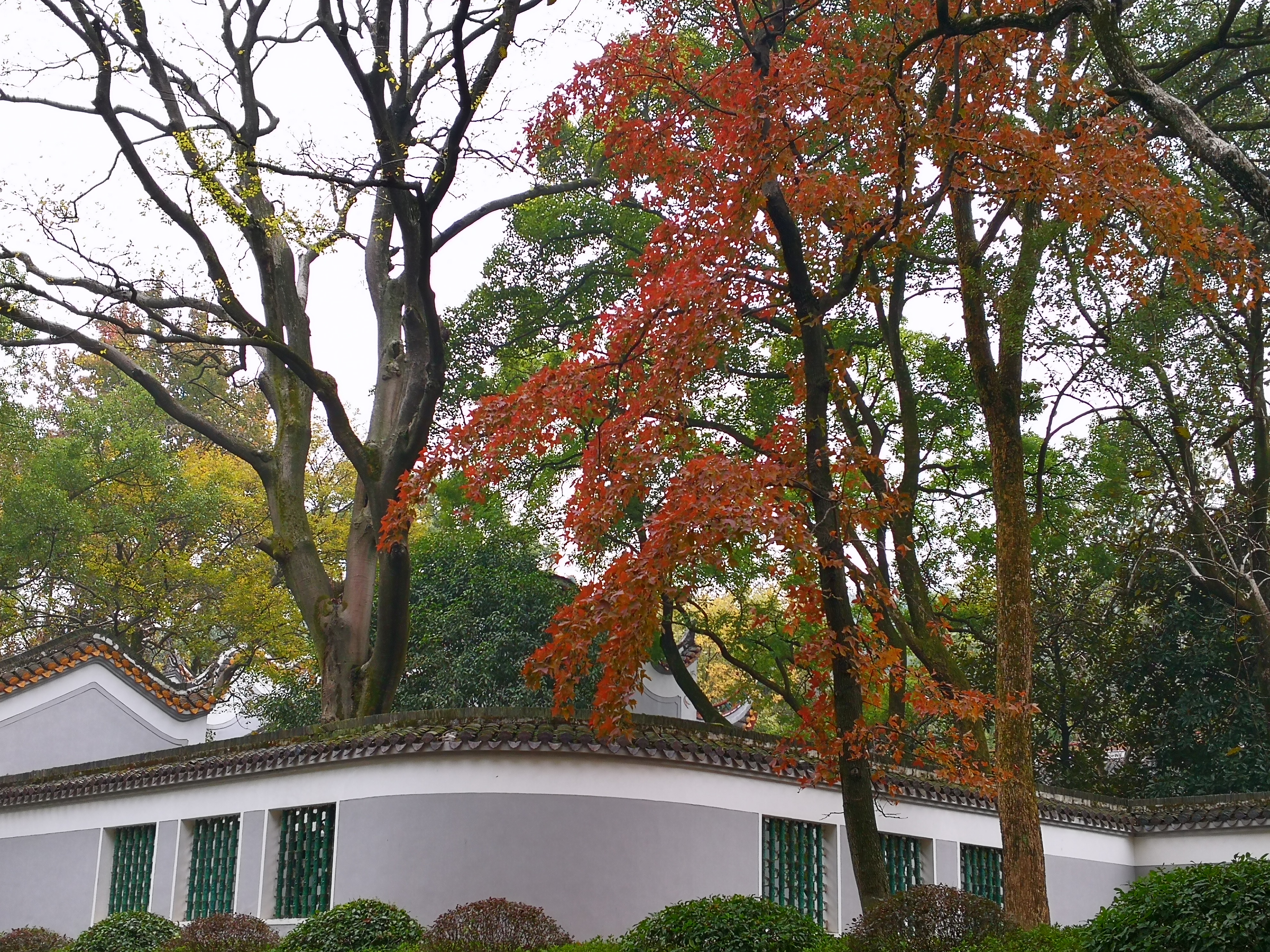 最实惠长沙一日游,长沙一日游的攻略