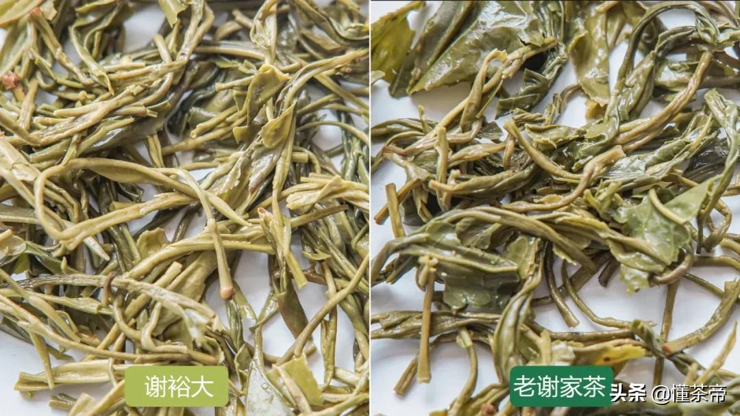 谢裕大和老谢家茶是一家吗,黄山毛峰谢裕大是什么茶