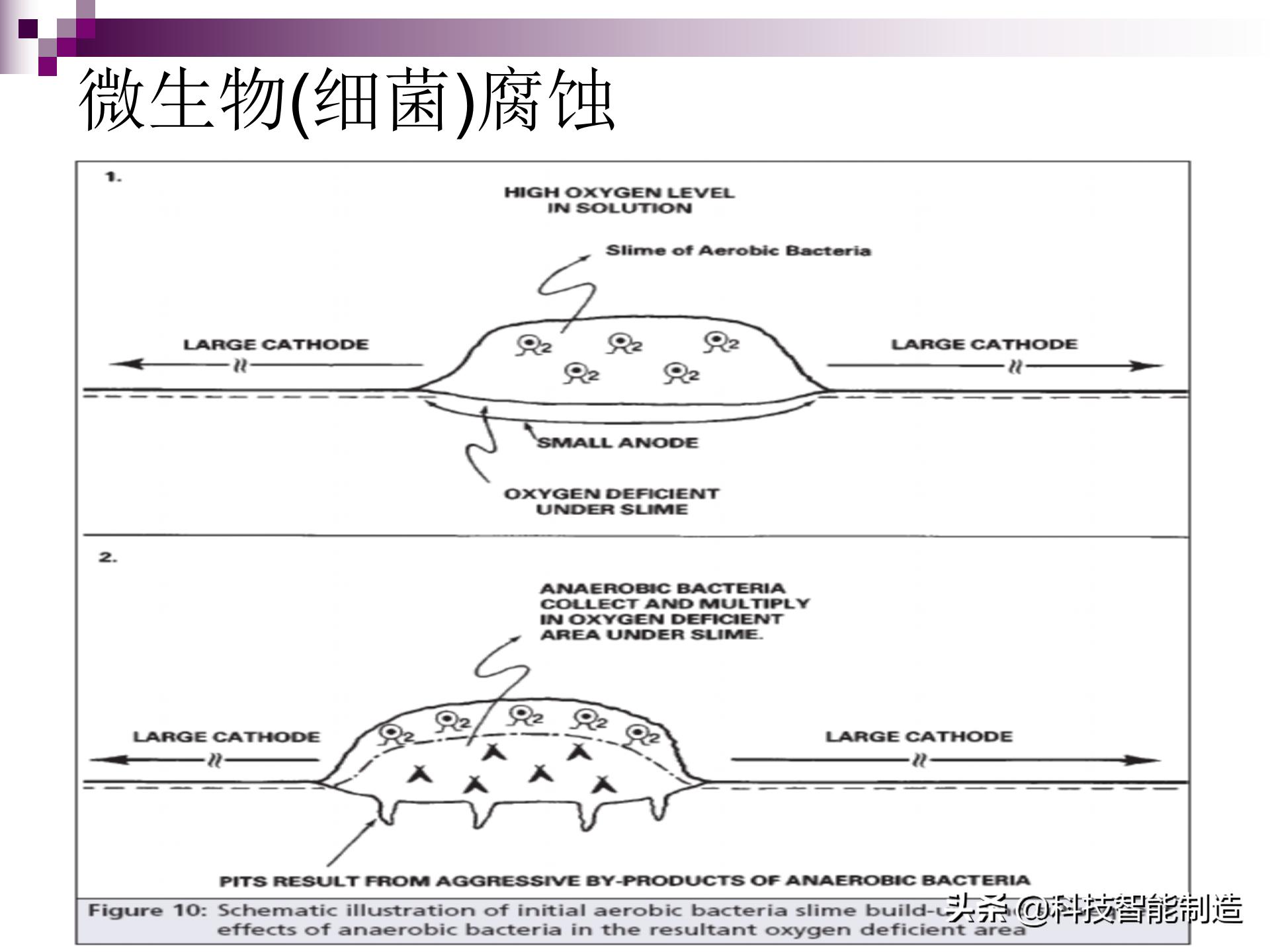 不锈钢腐蚀用什么腐蚀液,氯化钠腐蚀不锈钢原理