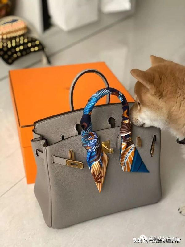 超好看的宠物包,好看又大的宠物包