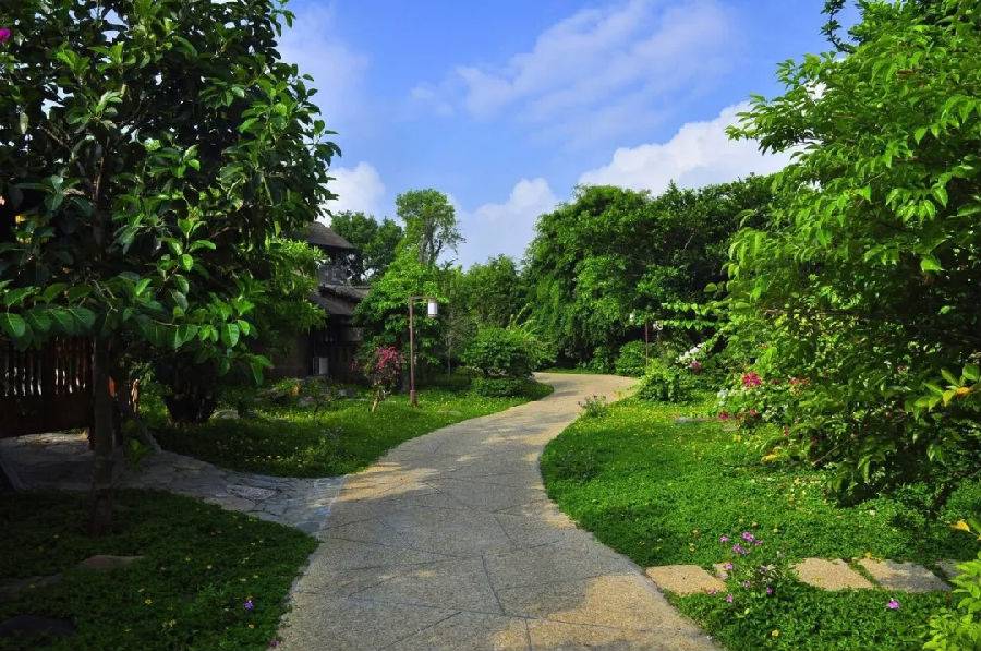 去湛江住特呈岛好还是住金沙湾好,今天湛江特呈岛风景区值得去吗