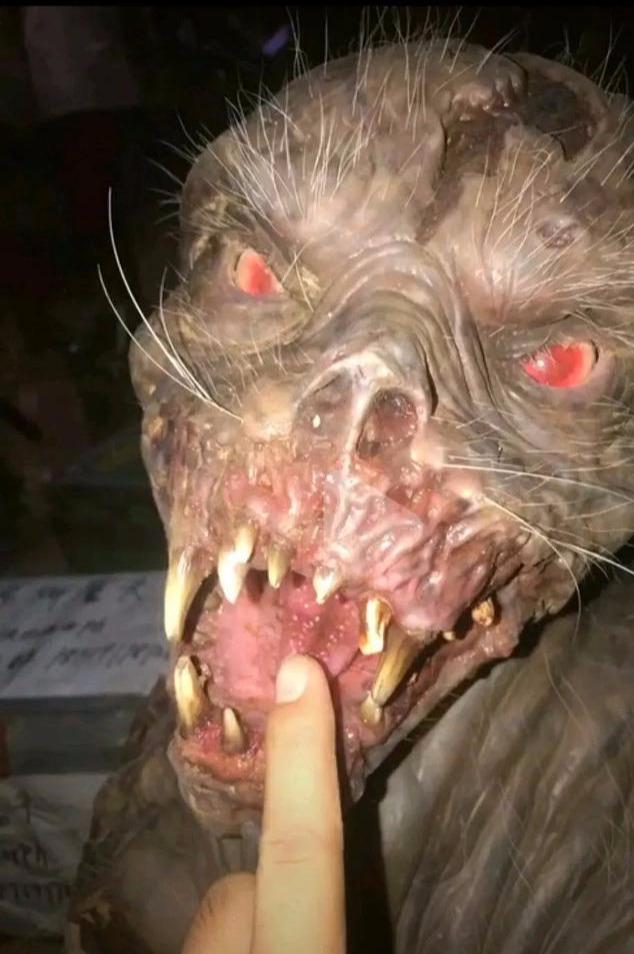 游戏中的怪物形象,游戏怪物角色设计